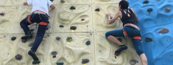 Sports Climbing: Top Rope Climbing